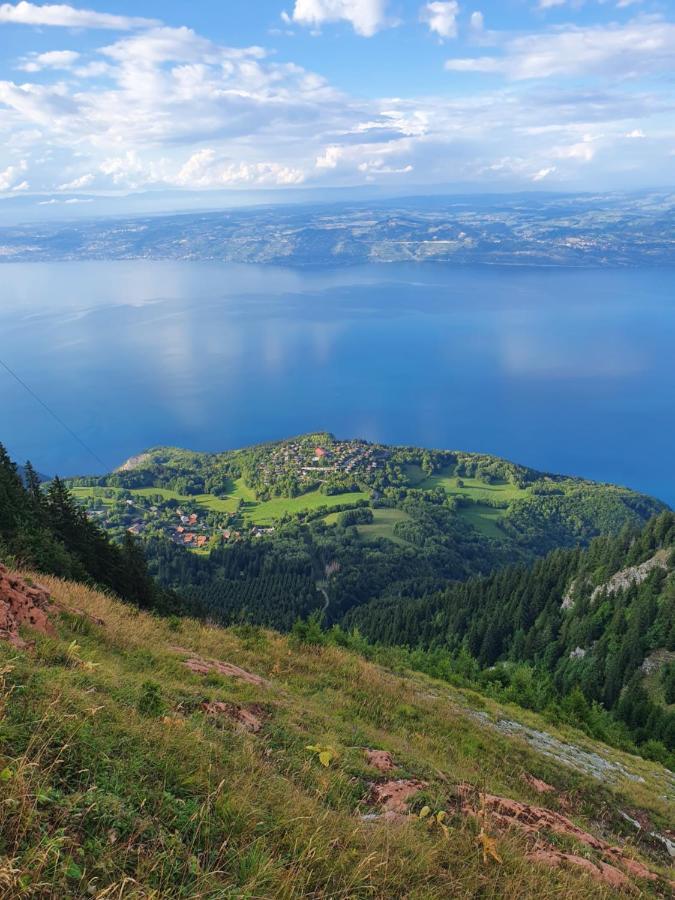 Chalet Chalon Meillerie Zewnętrze zdjęcie